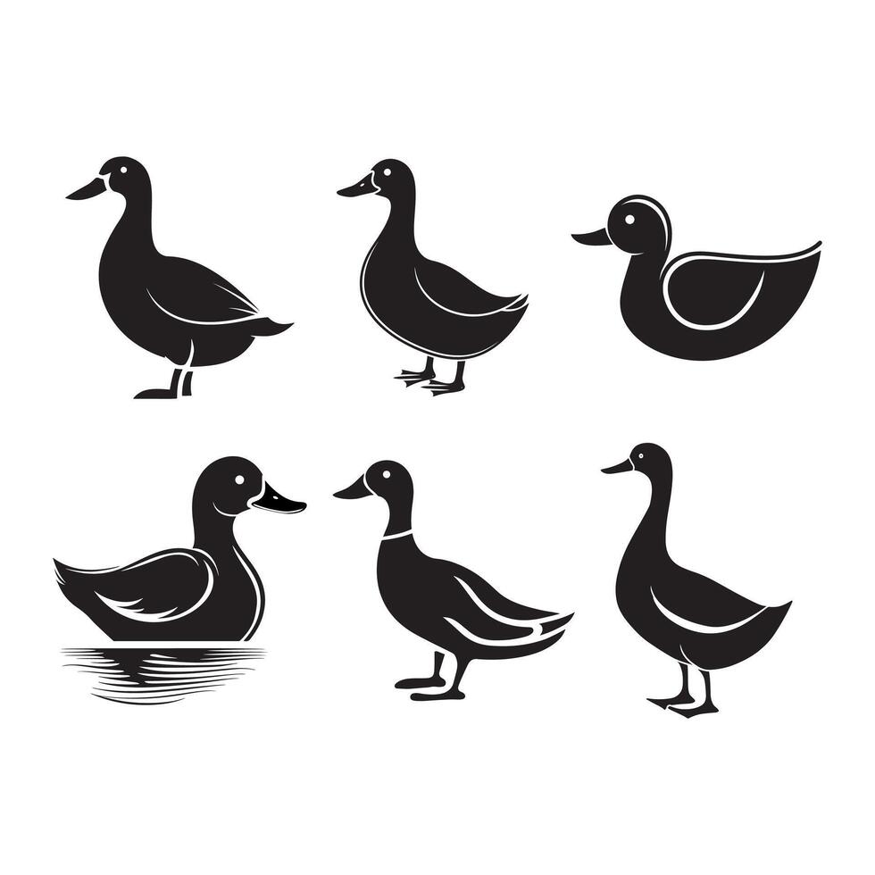 duck silhouettes, Lake Ducks Silhouette, Duck silhouettes, duck collection, various poses, black isolated figures vector