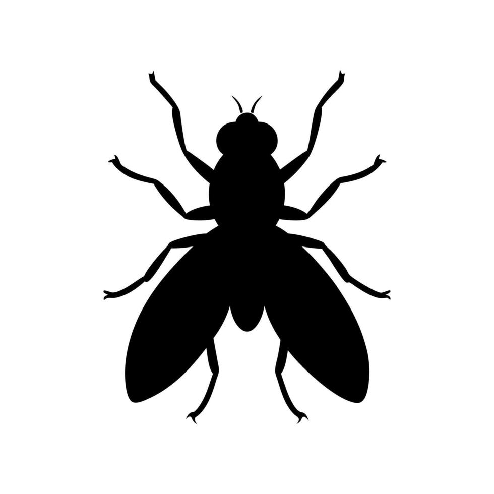 Fly insect illustration, Fly icon silhouette illustration vector