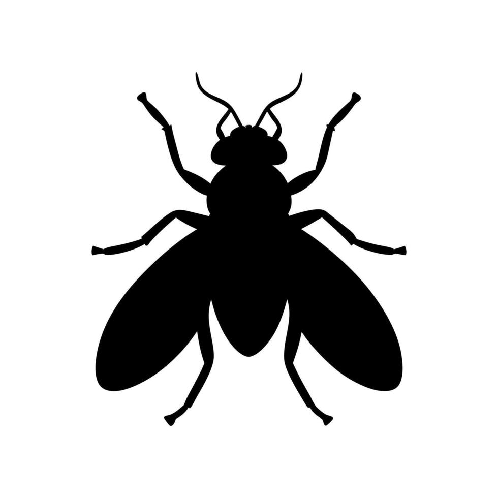 Fly insect illustration, Fly icon silhouette illustration vector