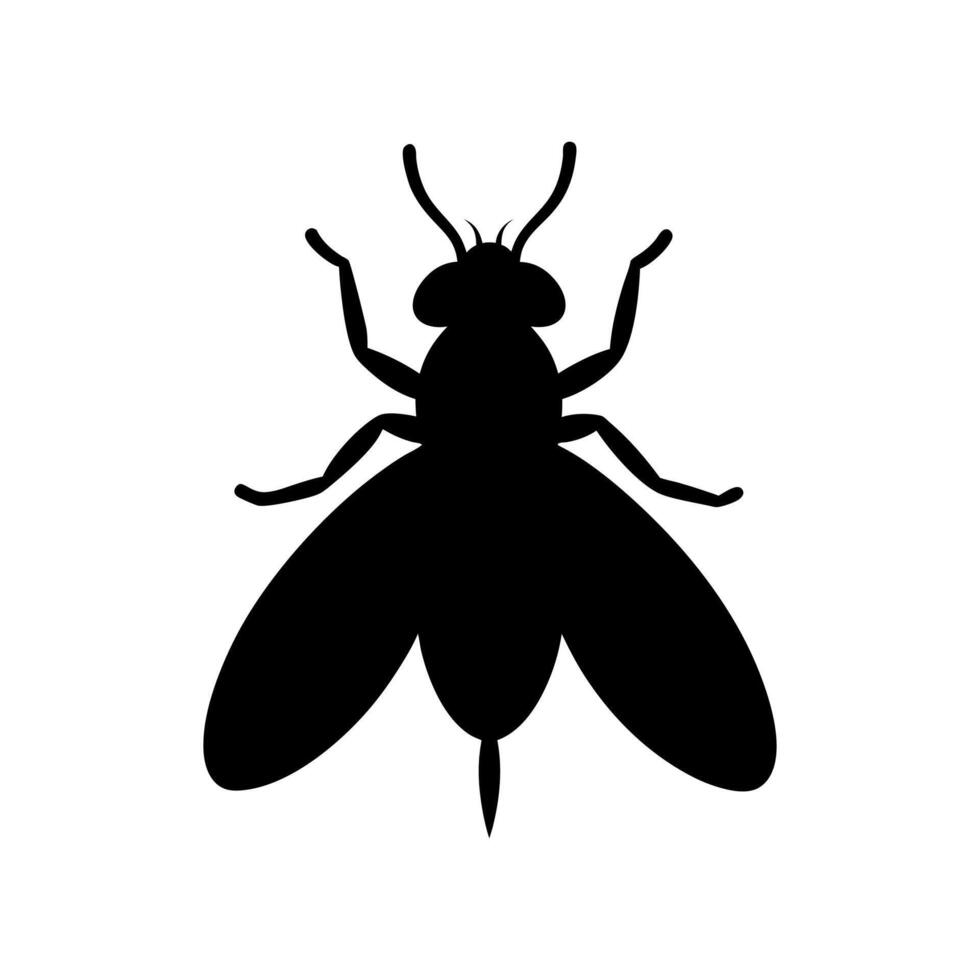Fly insect illustration, Fly icon silhouette illustration vector