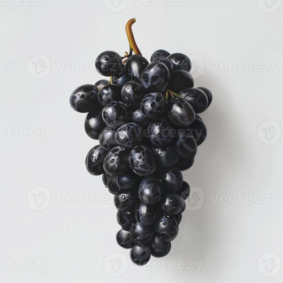 The perfect brush of black grapes on a white background photo