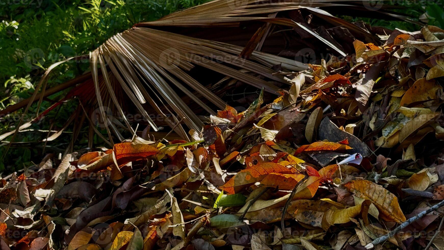 A bunch of fallen dry leaves close up background Outdoor photo