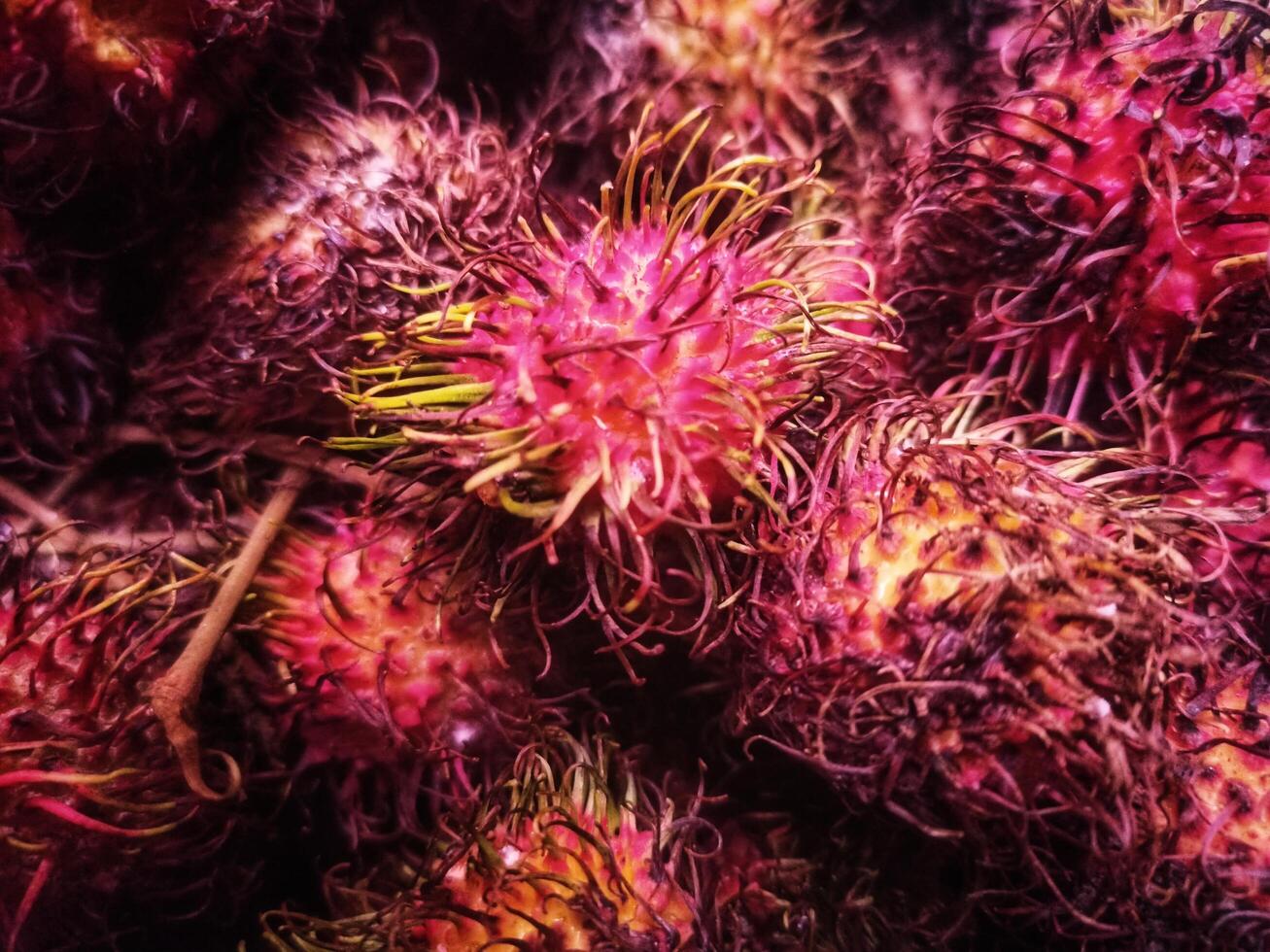 Rambutans in the traditional market photo