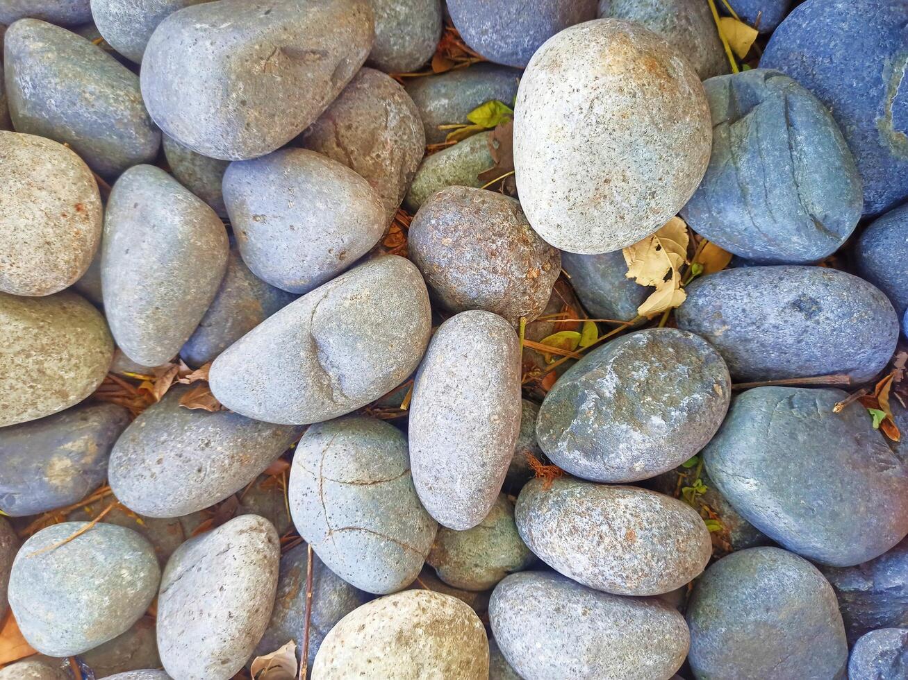 Natural Beauty of Enchanting Coastal Rock Formations photo