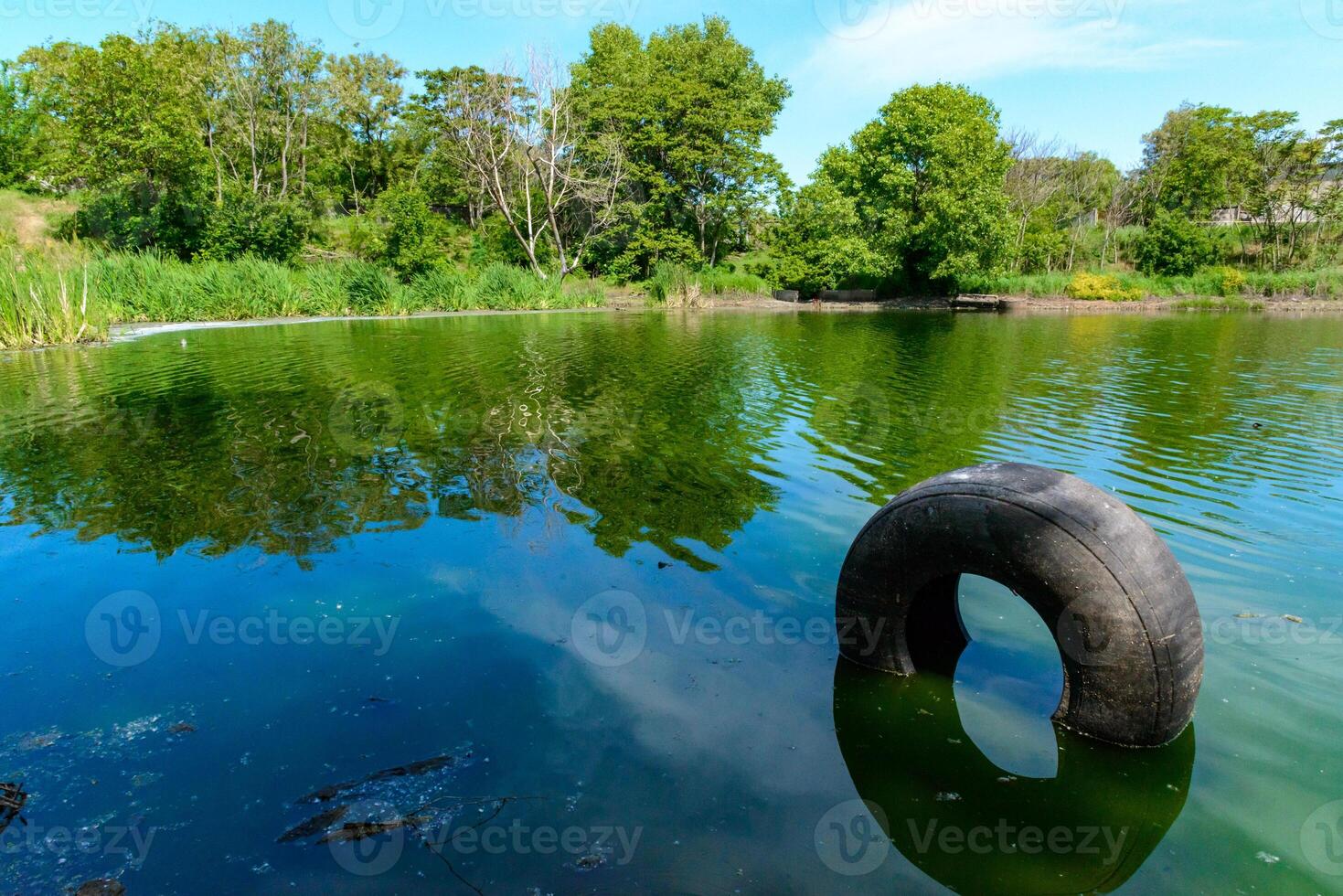 Car tire in water, Green lake reflecting the trees on its bank on a sunny day photo