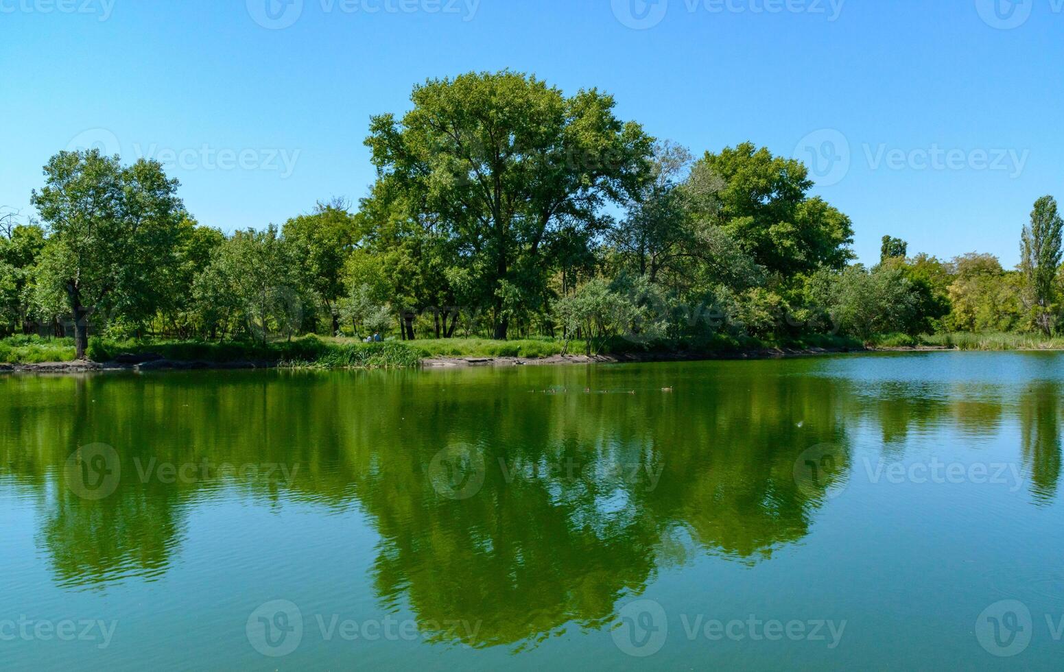 Green lake reflecting the trees on its bank on a sunny day photo