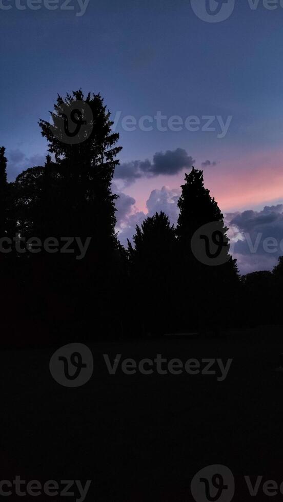 Silhouetted trees stand tall against a colorful sunset sky photo