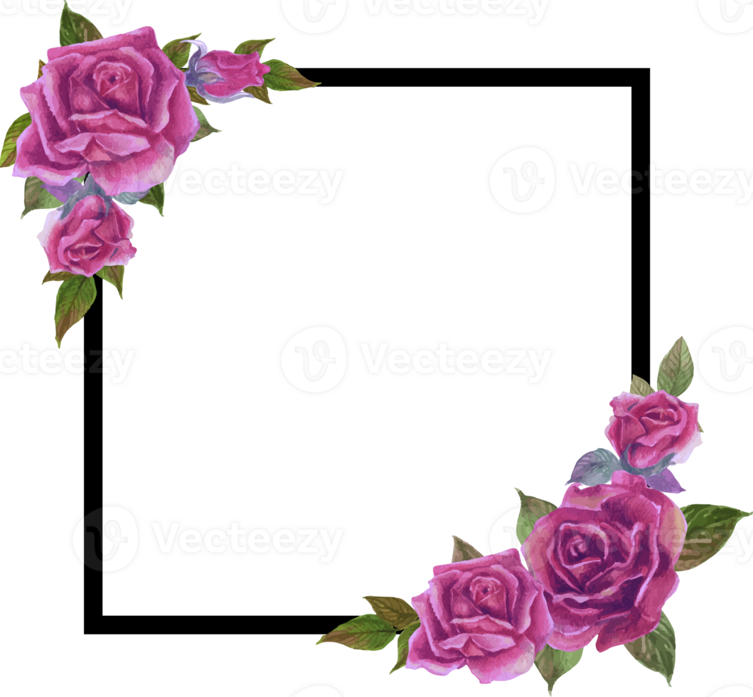 Purple rose frame illustration on transparent background. png
