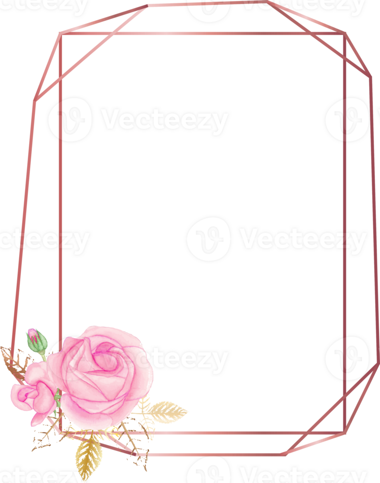 Pink rose geometric frame illustration on transparent background. png