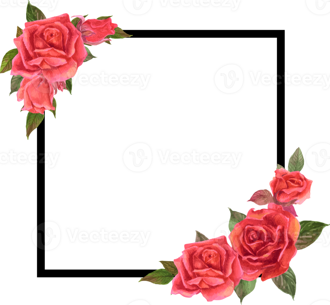 Rose frame illustration on transparent background. png