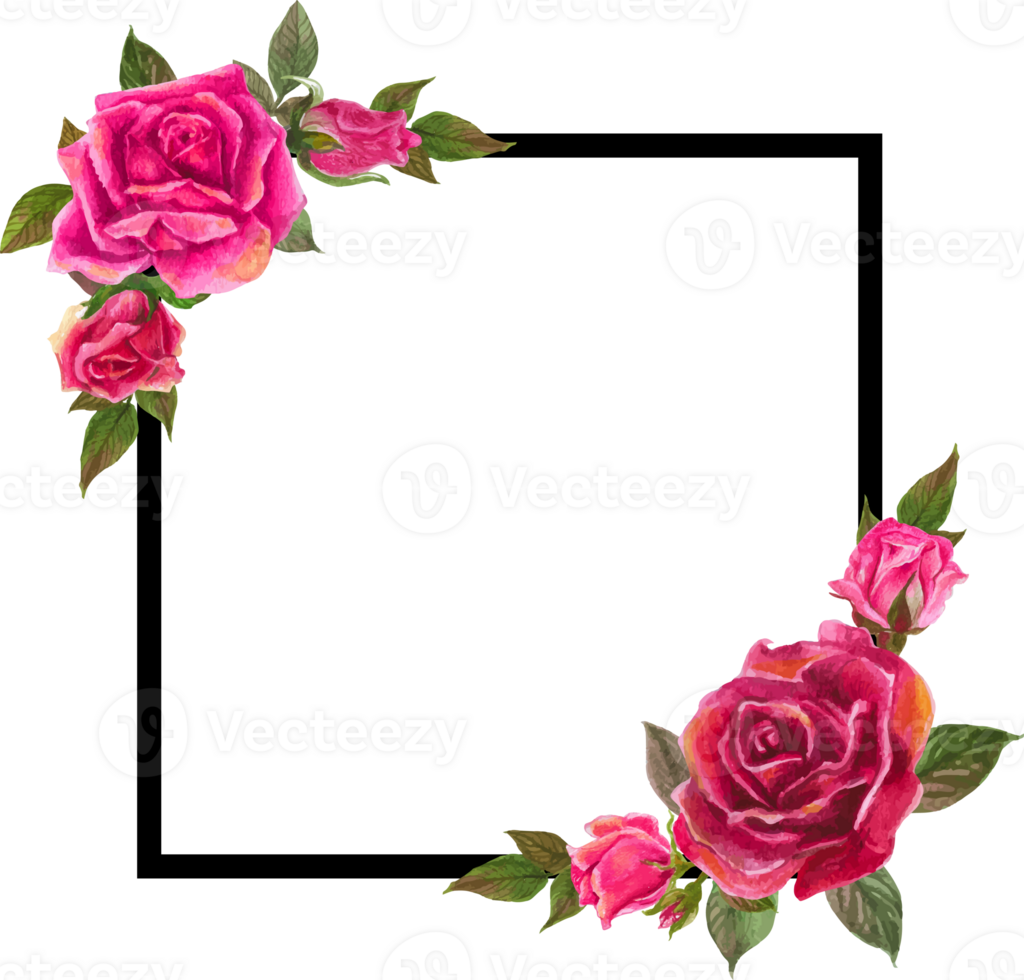 Rose frame illustration on transparent background. png