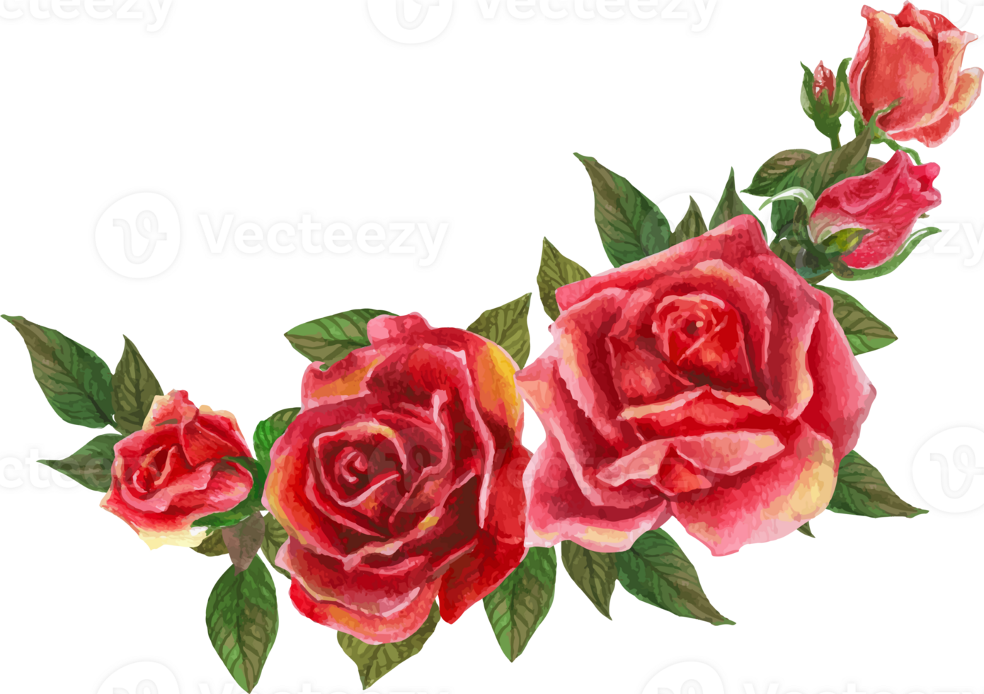 Red rose wreath illustration on transparent background. png