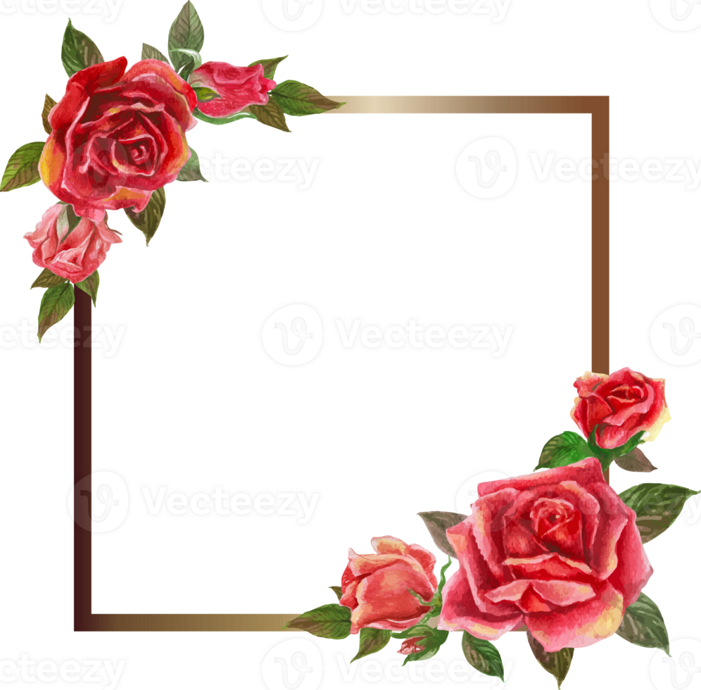 Red rose frame illustration on transparent background. png