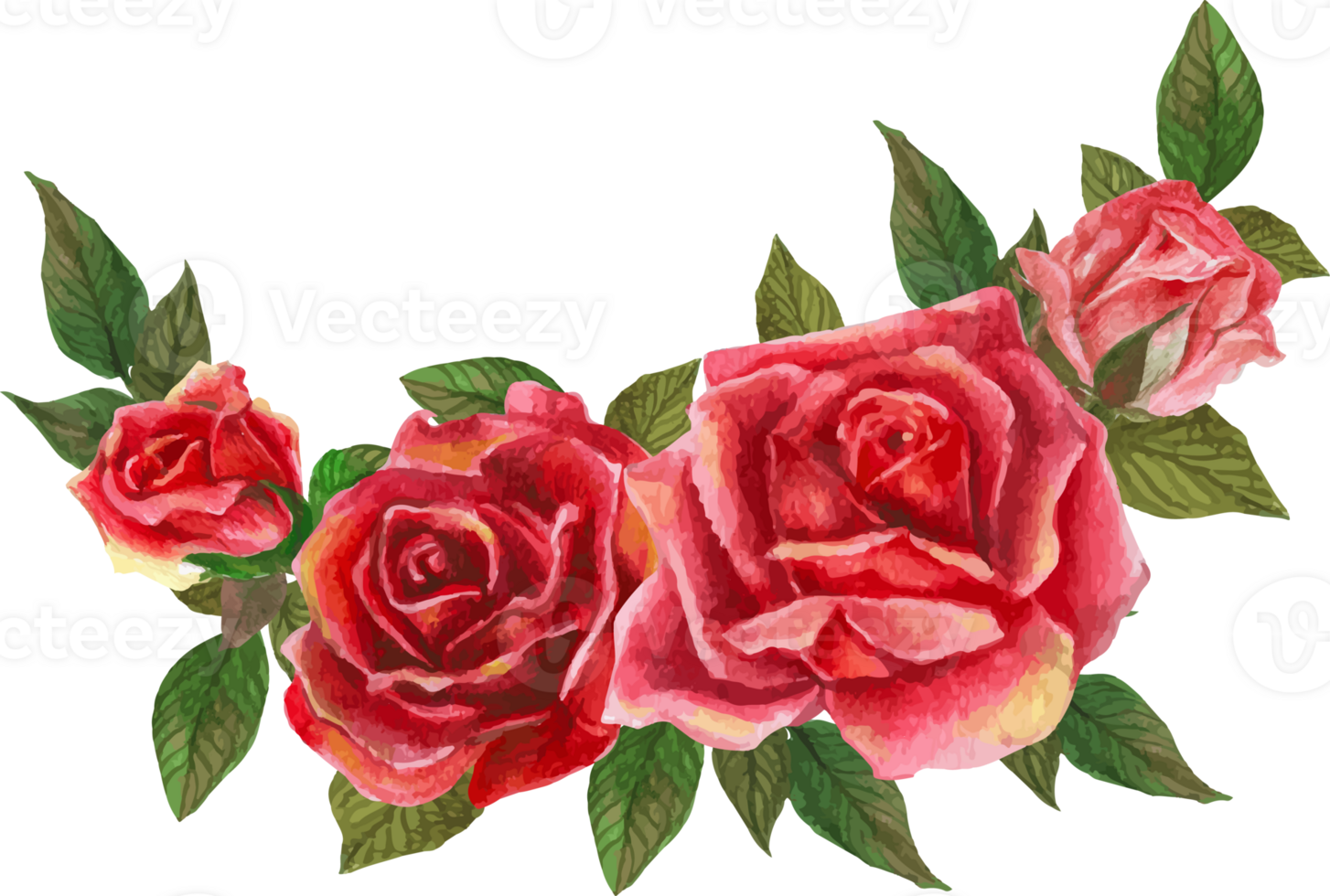 Red rose wreath illustration on transparent background. png