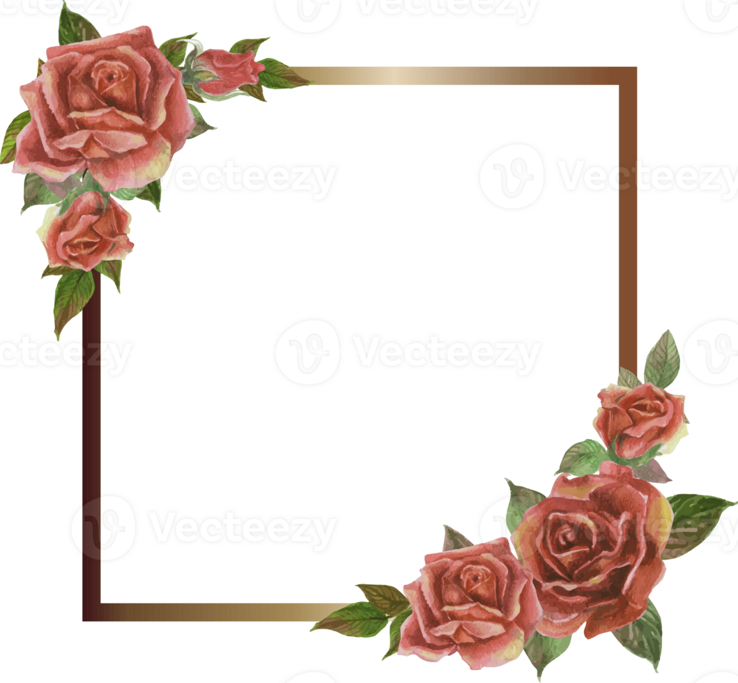 Rose frame illustration on transparent background. png