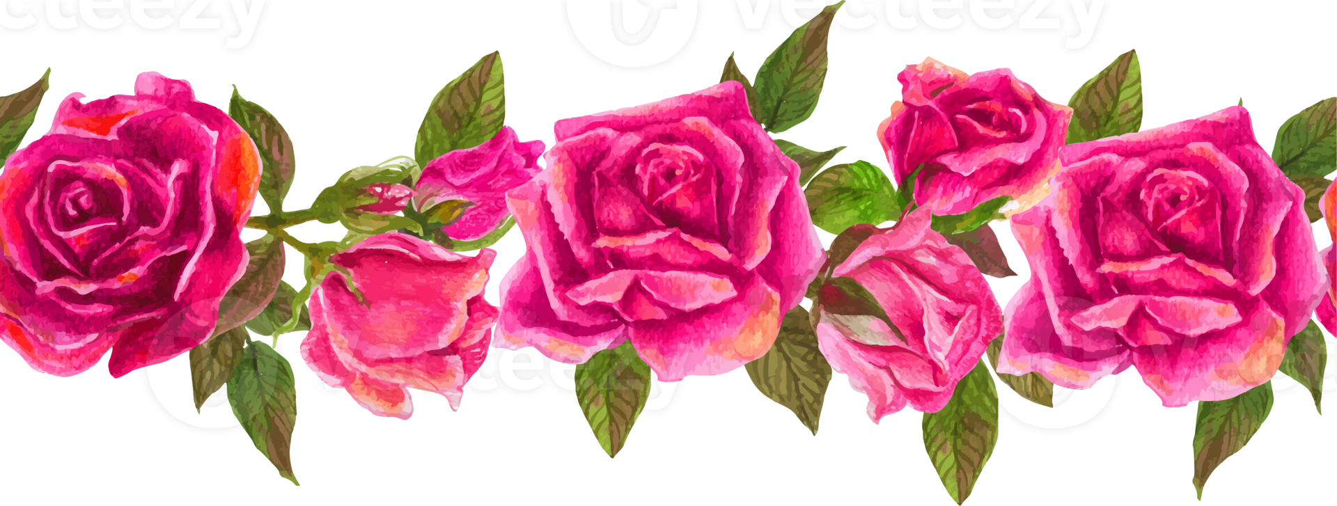 Watercolor pink rose line border illustration on transparent background. png