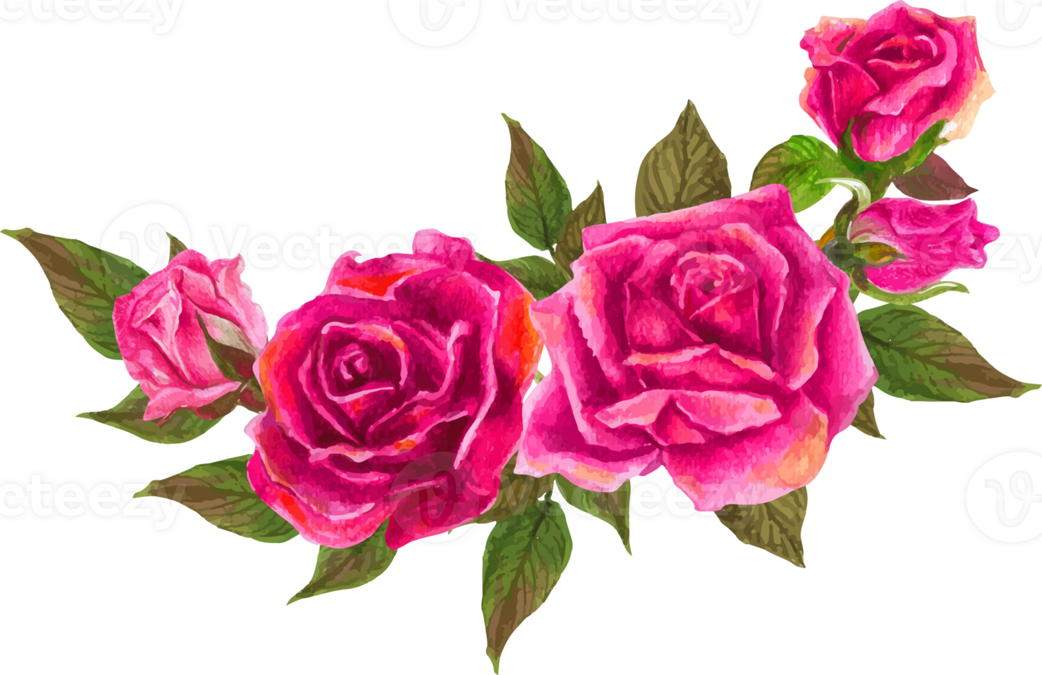 Pink rose wreath illustration on transparent background. png