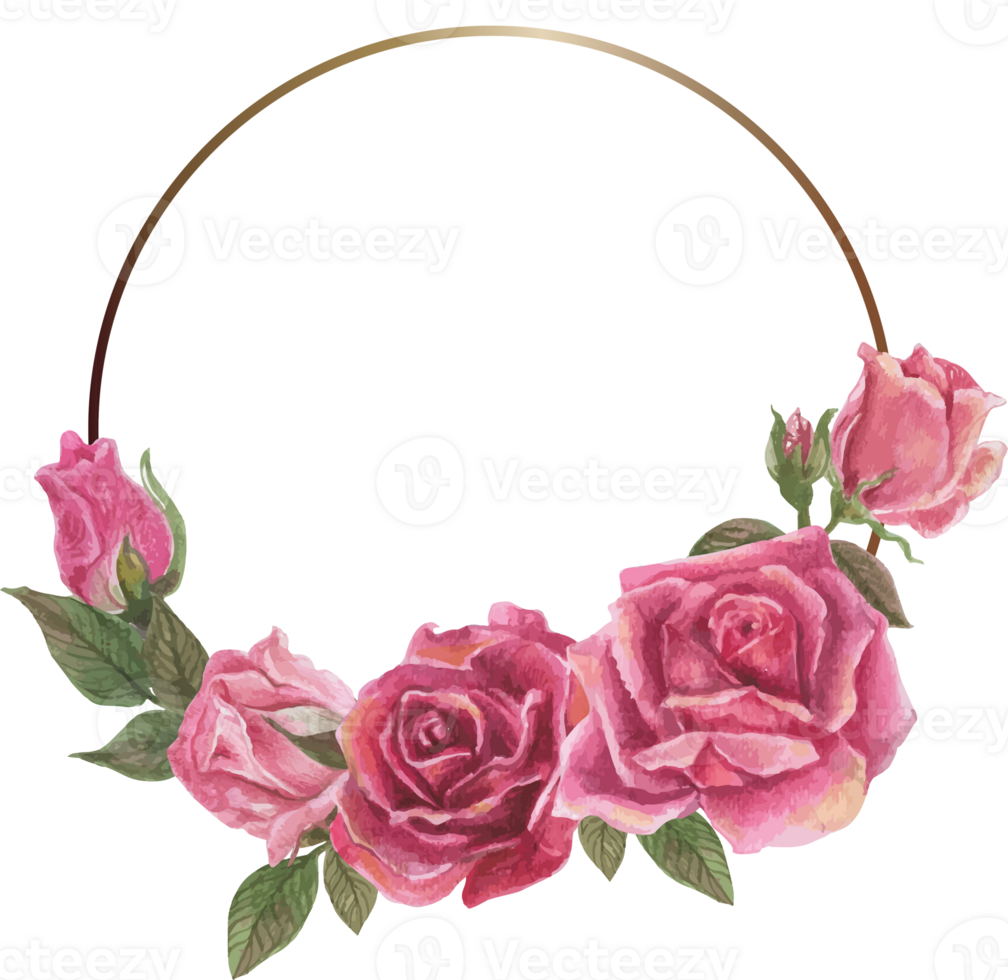 Pink rose frame illustration on transparent background. png