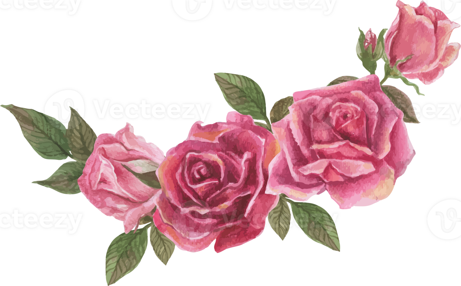 Pink rose wreath illustration on transparent background. png