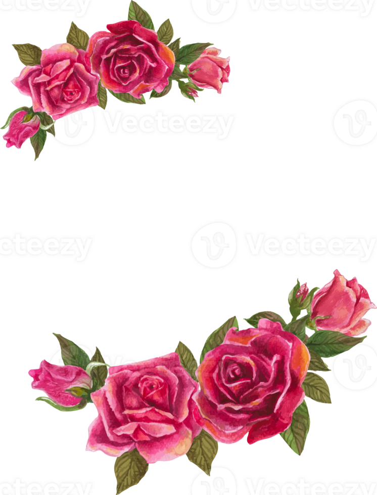 Pink rose wreath illustration on transparent background. png