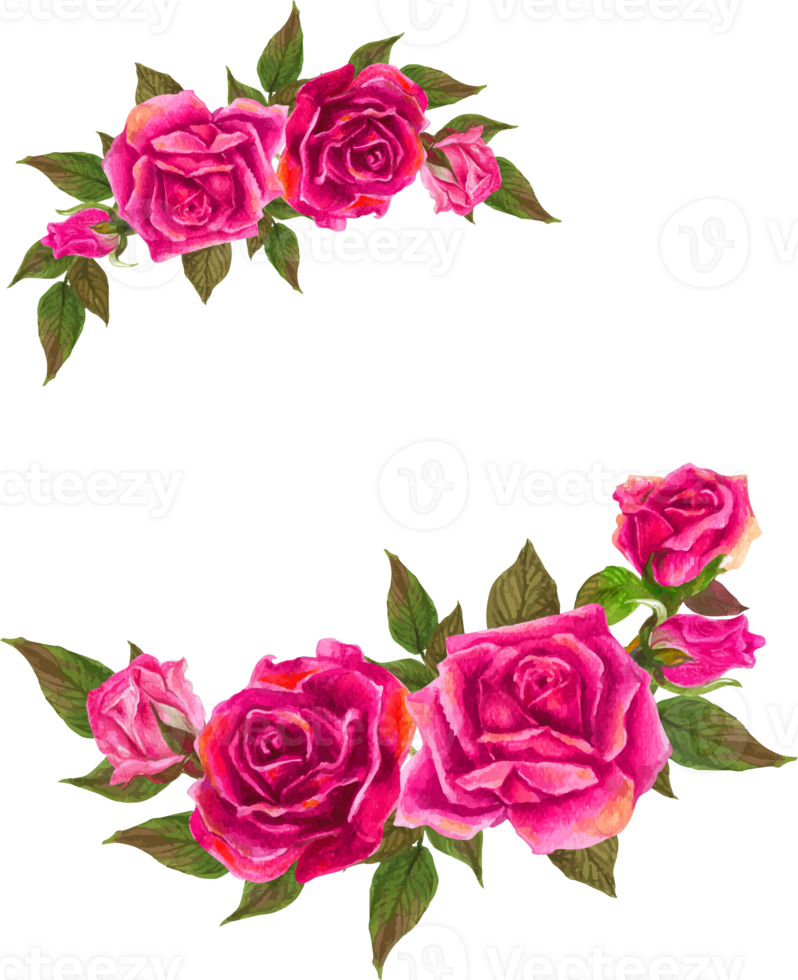 Pink rose wreath illustration on transparent background. png
