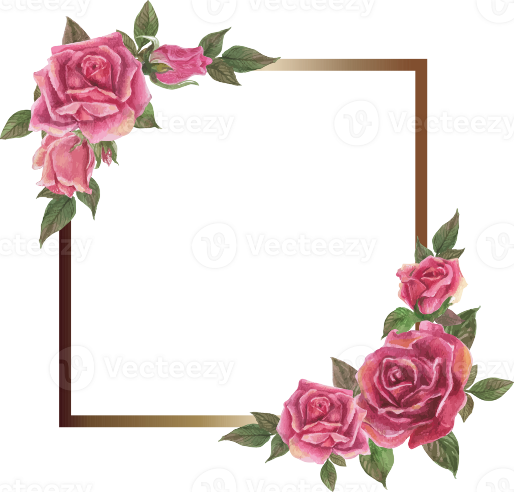 Pink rose frame illustration on transparent background. png
