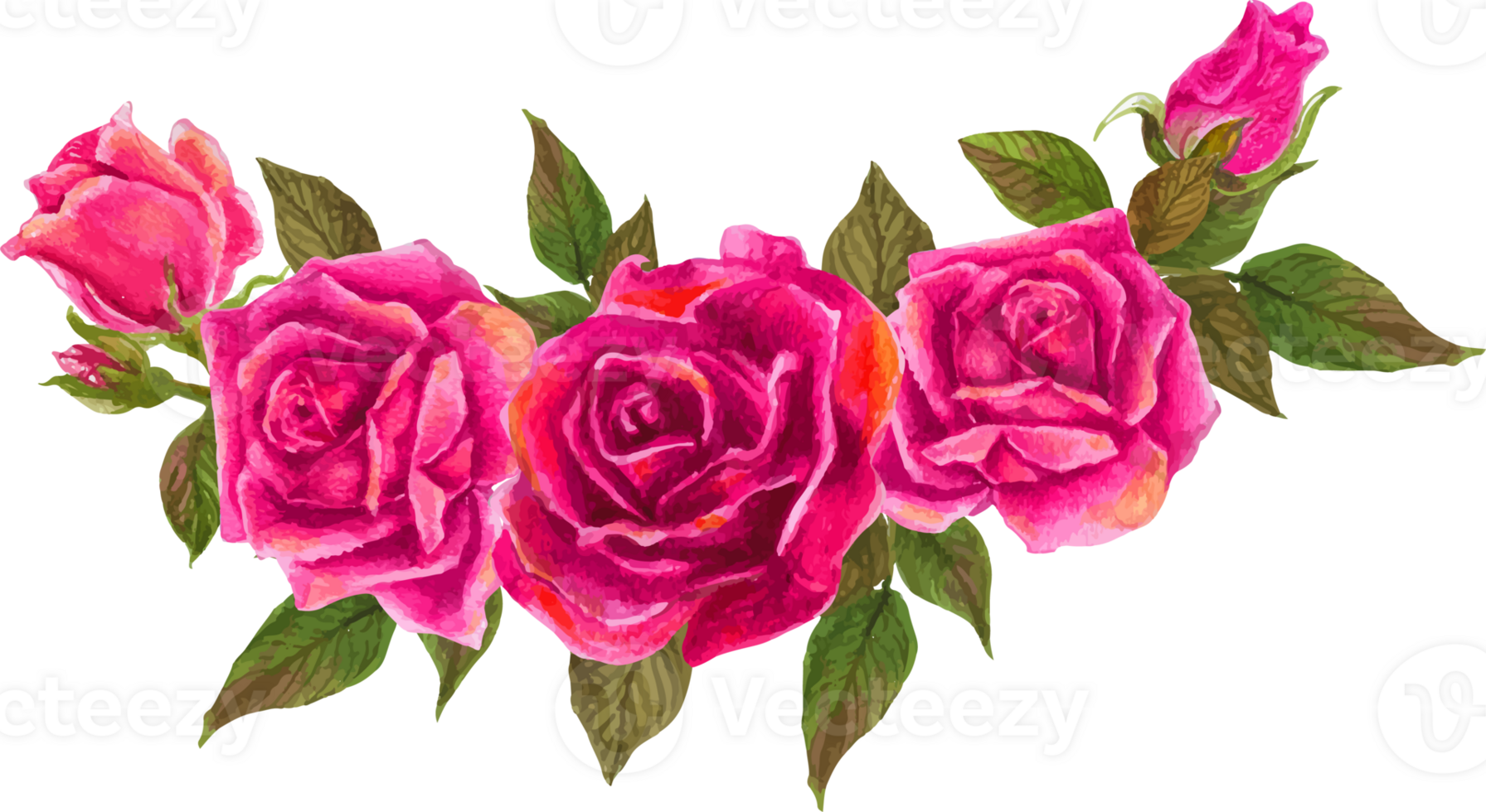 Pink rose wreath illustration on transparent background. png