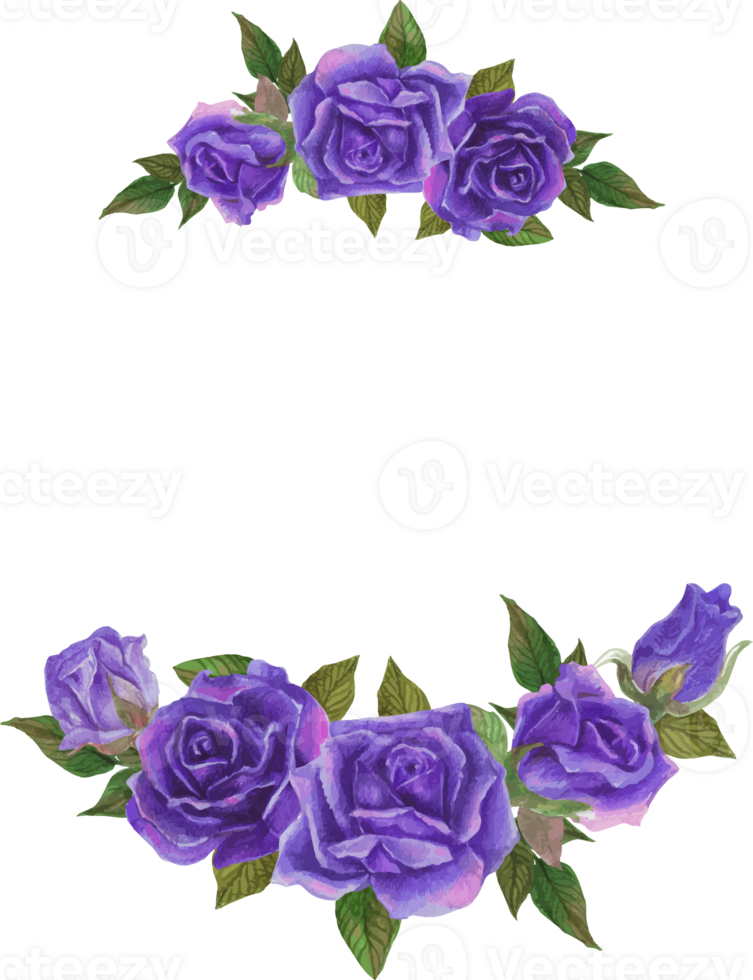 Purple rose wreath illustration on transparent background. png