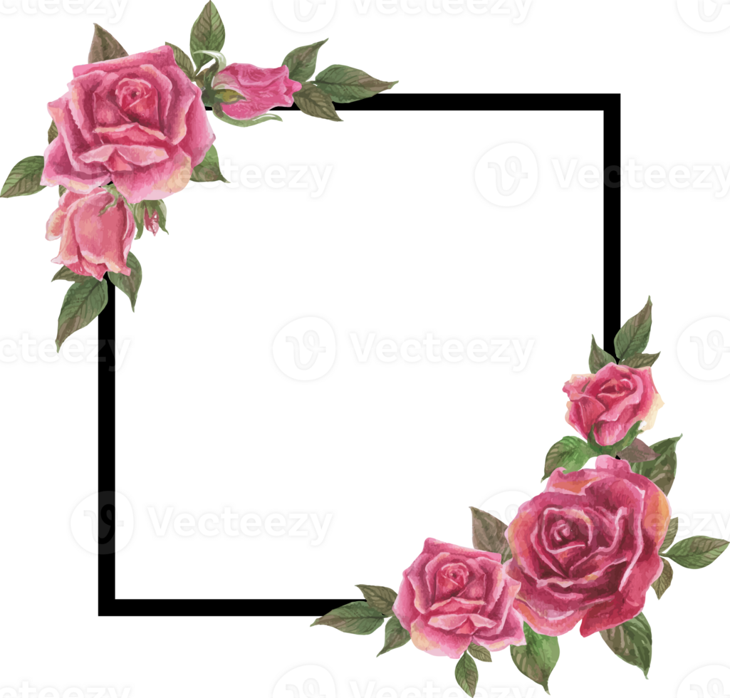 Pink rose frame illustration on transparent background. png