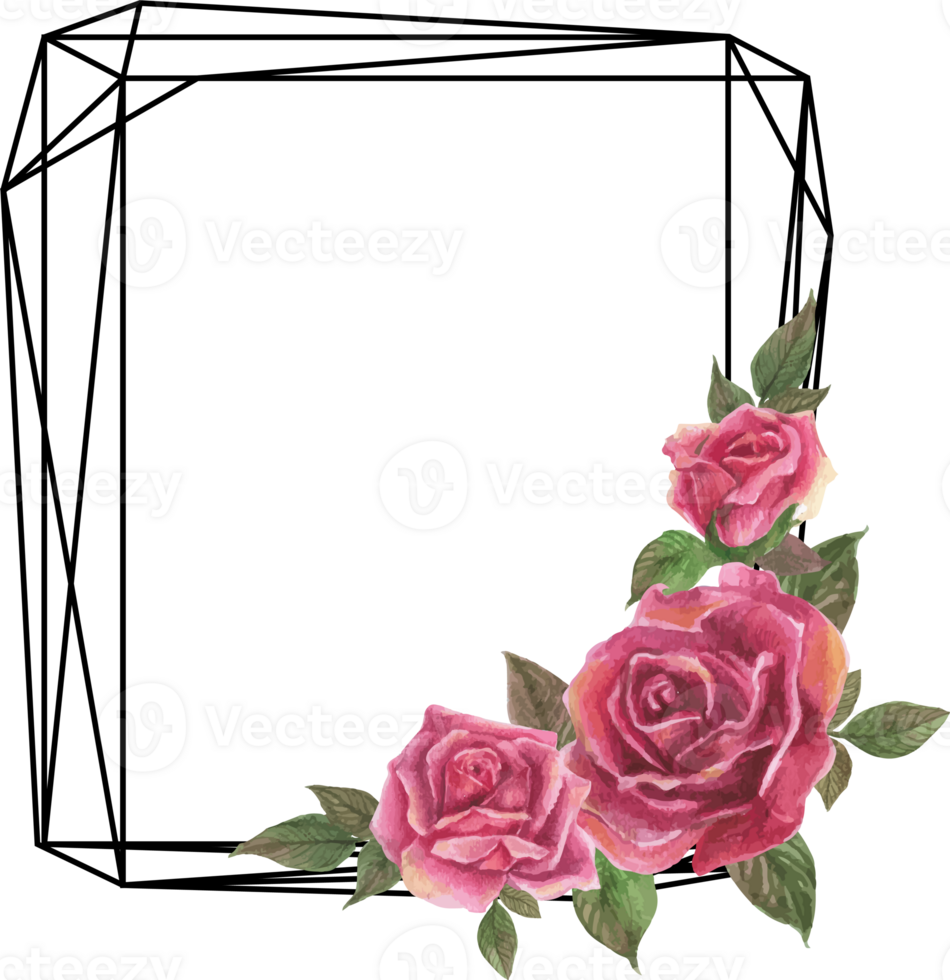 Pink rose geometric frame illustration on transparent background. png