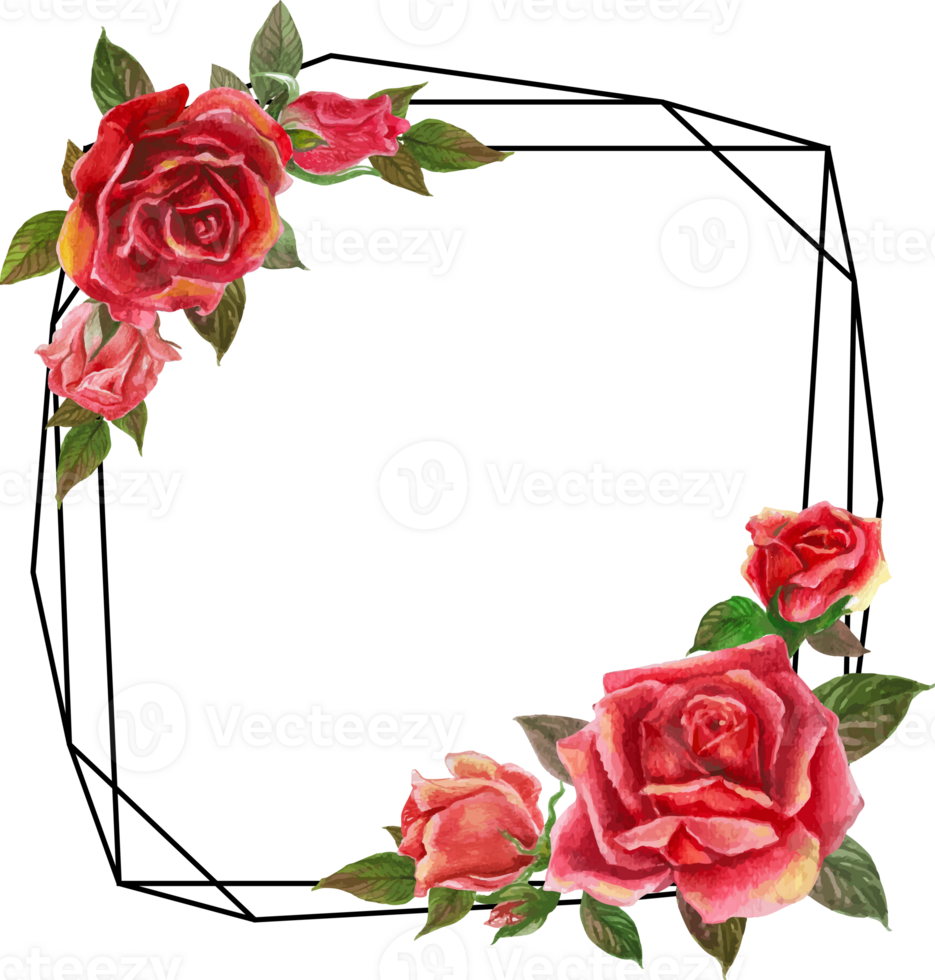 Red rose geometric frame illustration on transparent background. png