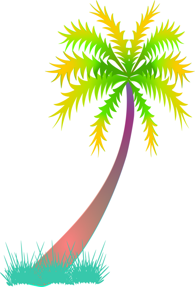 coconut tree transparent background. palm tree clipart png