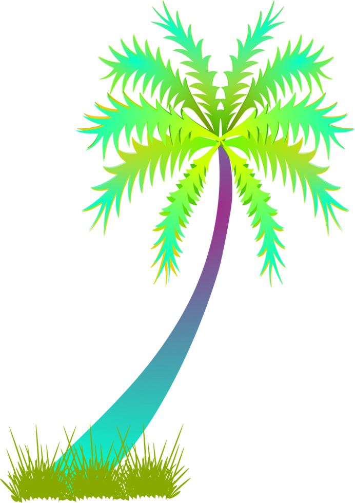 coconut tree transparent background. palm tree clipart png