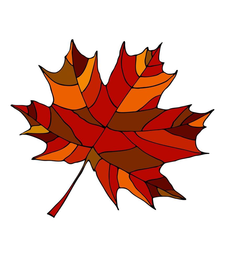 Funny autumn leaves doodle, yellow and red leaf, fall season maple and oak falling leaves. Hand drawn tree leaf shapes isolated for kid education or fall concept. Black outline of leaves with veins. vector