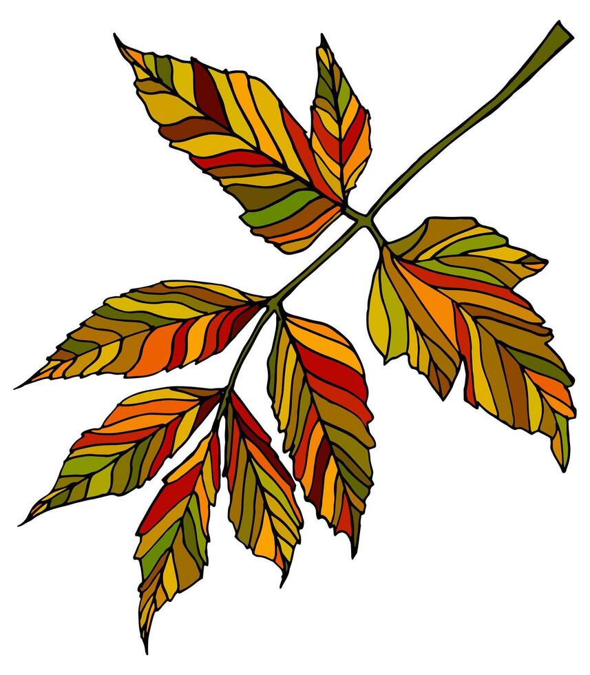 Funny autumn leaves doodle, yellow and red leaf, fall season maple and oak falling leaves. Hand drawn tree leaf shapes isolated for kid education or fall concept. Black outline of leaves with veins. vector