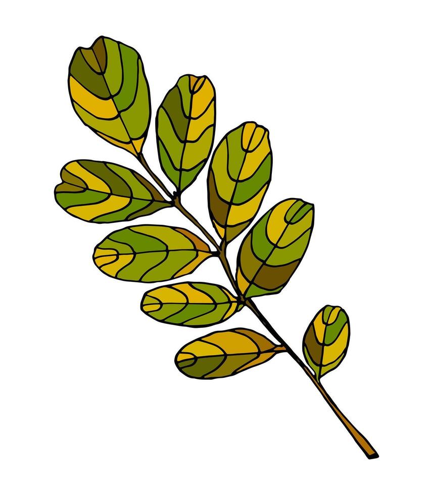 Funny autumn leaves doodle, yellow and red leaf, fall season maple and oak falling leaves. Hand drawn tree leaf shapes isolated for kid education or fall concept. Black outline of leaves with veins. vector
