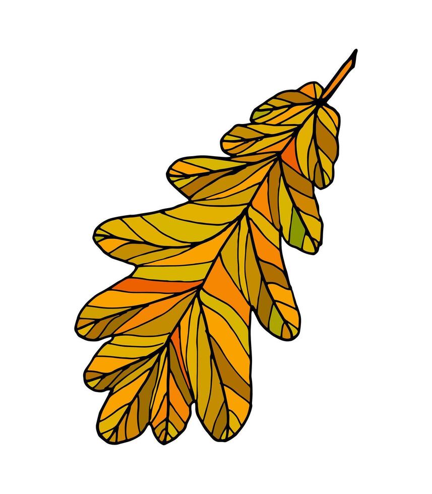 Funny autumn leaves doodle, yellow and red leaf, fall season maple and oak falling leaves. Hand drawn tree leaf shapes isolated for kid education or fall concept. Black outline of leaves with veins. vector