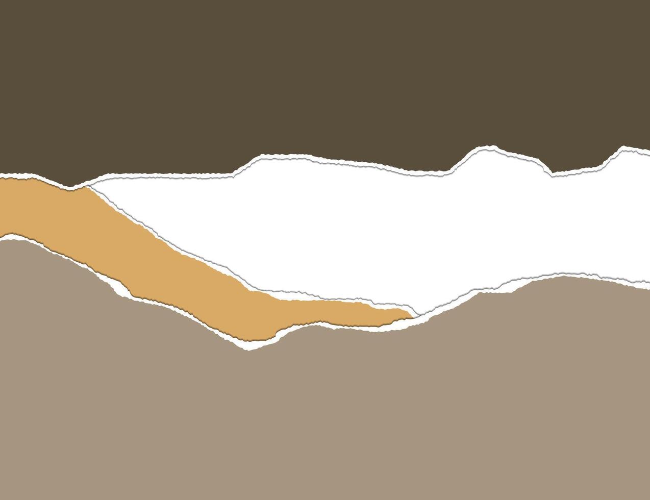 Ripped paper. Torn, ripped pieces. illustration. vector