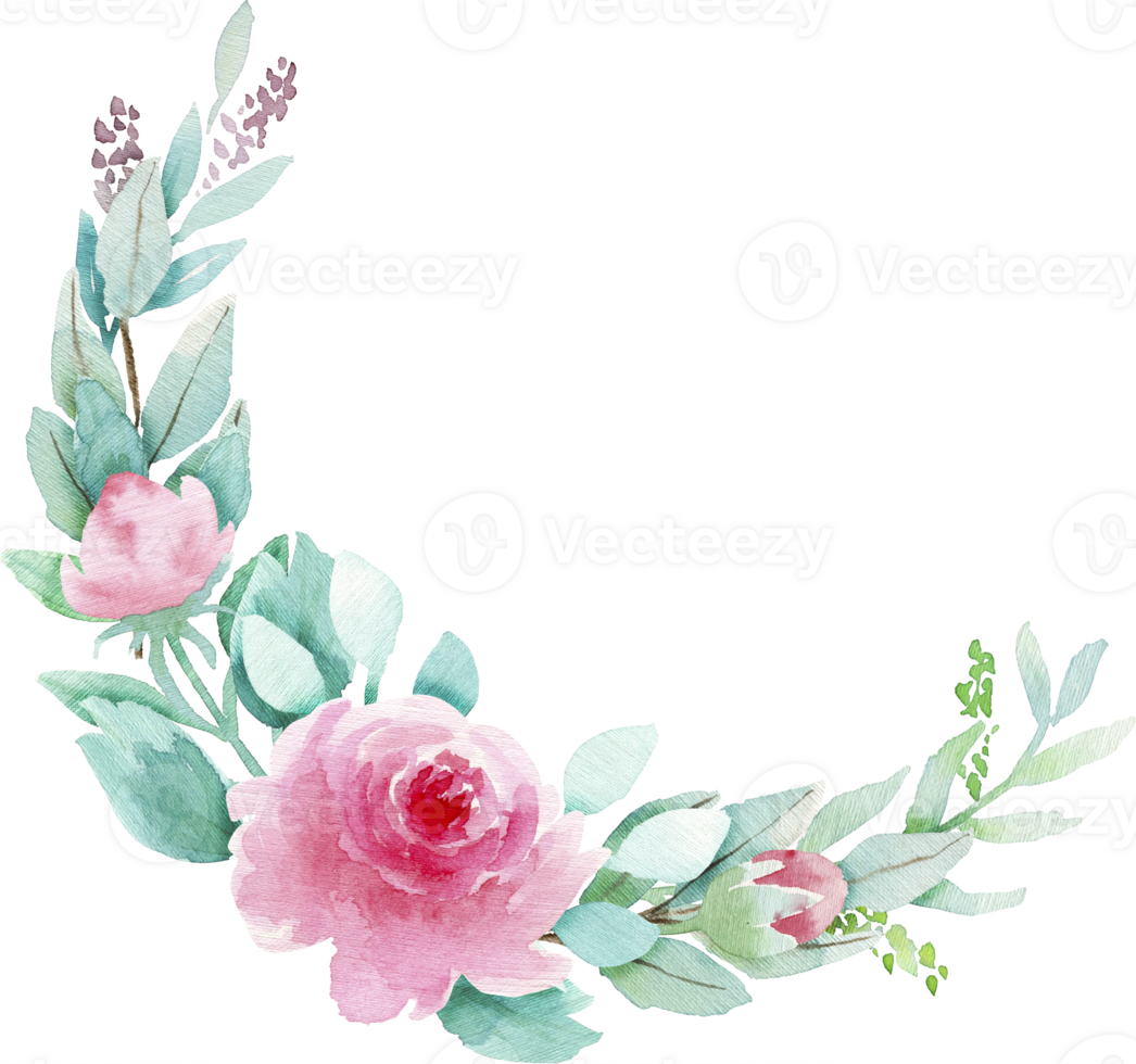 Watercolor Branch of Pink Roses and Green Leaves Elegant Floral Illustration png