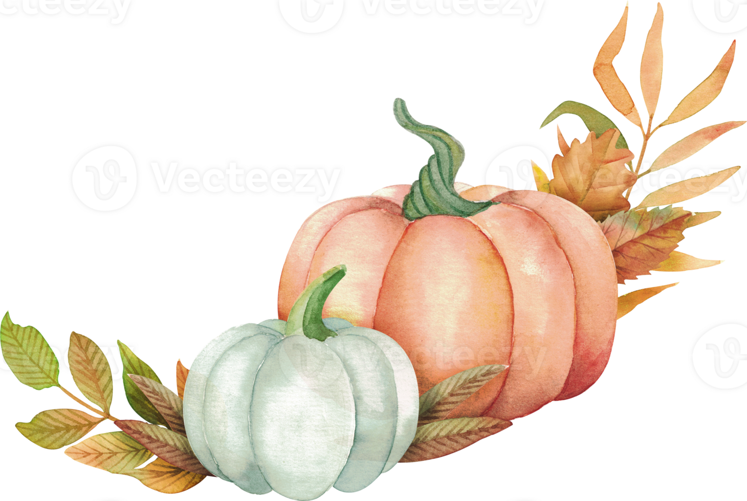 Fall botanical illustration with pumpkin and autumn flowers. Hand drawing floral design elements set. Flowers and green leaves. Perfect for wedding invitations, greeting cards and more png
