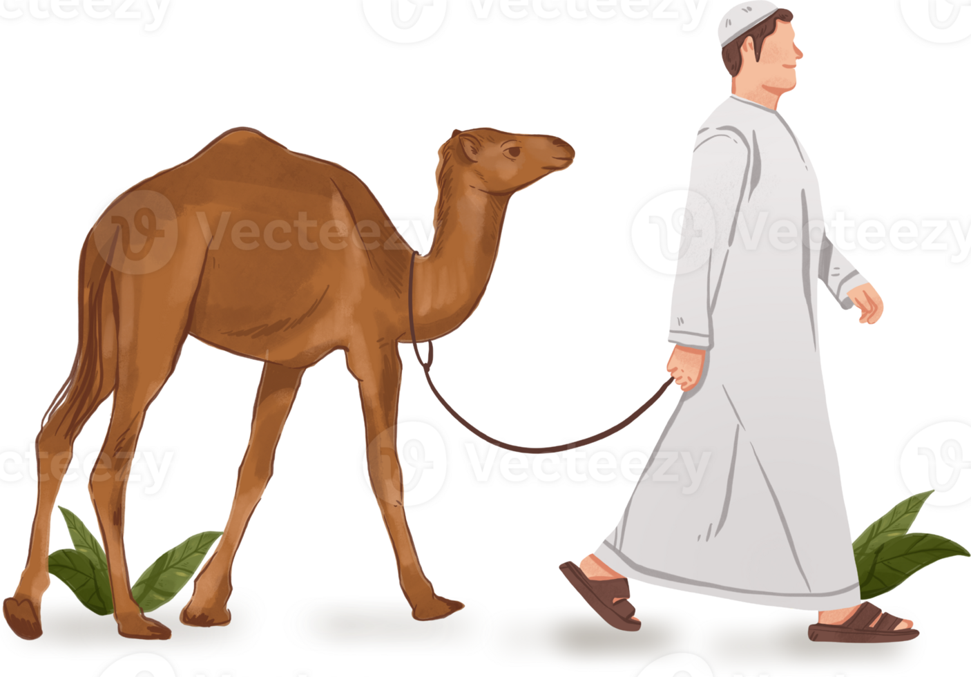 A man is walking with a camel on a leash png