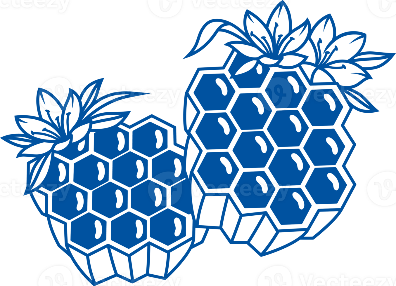 Two honeycombs with honey created after collecting flower pollen, for design natural products store png