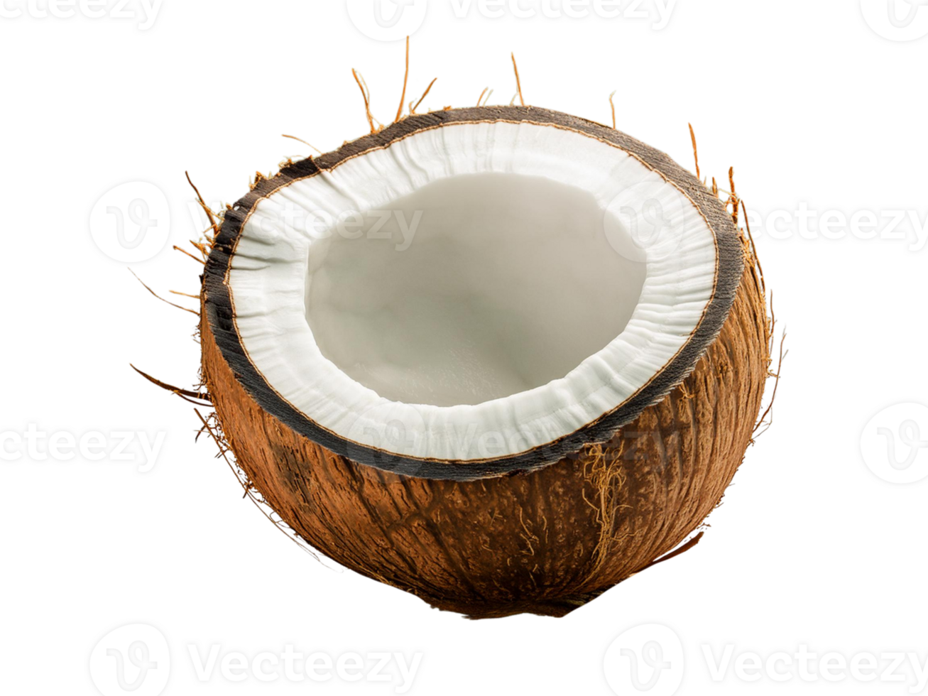 a coconut is cut in half on a transparent background png