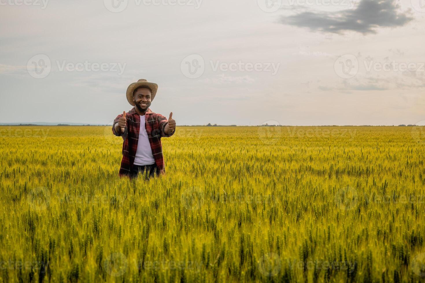 Young happy farmer showing thumbs up while standing in his growing wheat field. photo