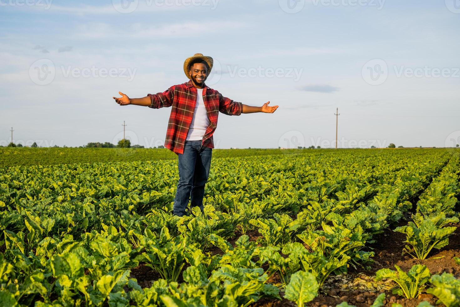Young happy farmer with arms outstretched is standing in his growing spinach field. photo