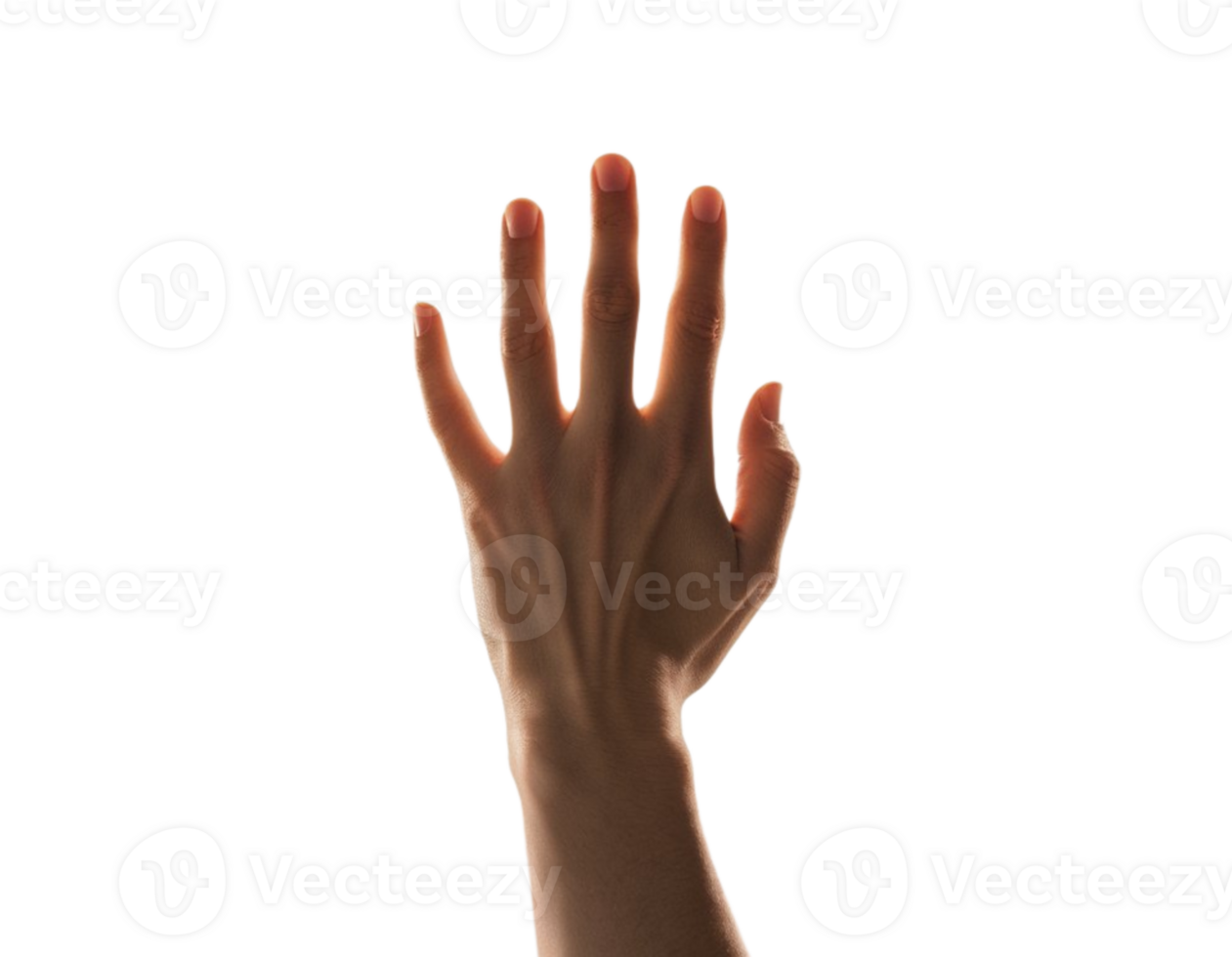 a hand reaching up to the sky on a transparent background png