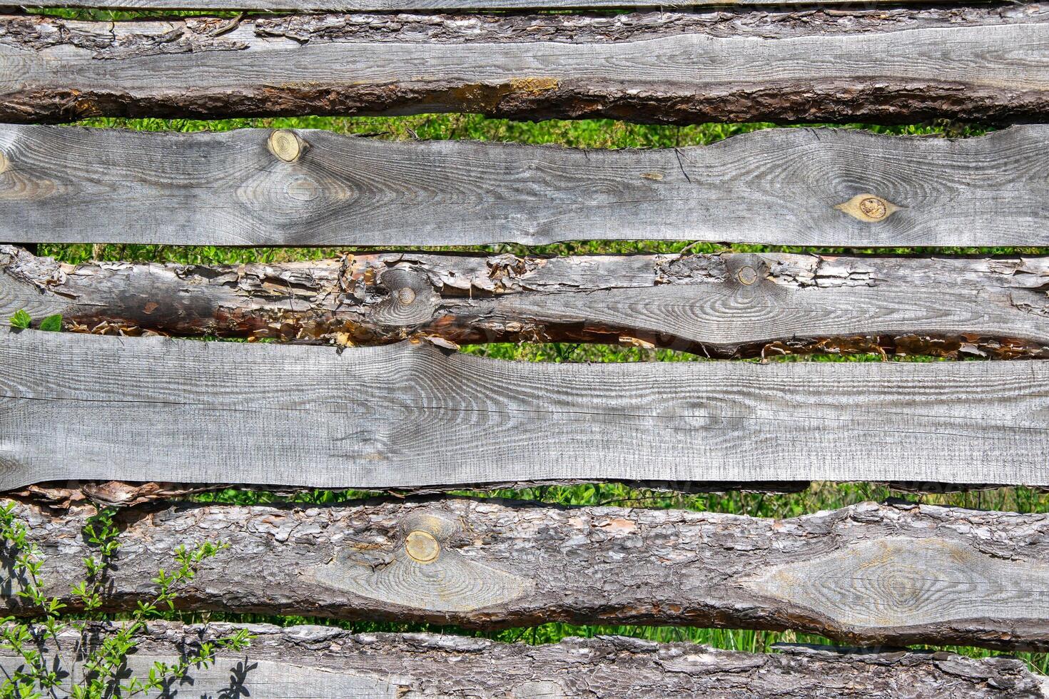 A closeup image of a rustic wooden fence with weathered planks and green grass growing between the gaps photo