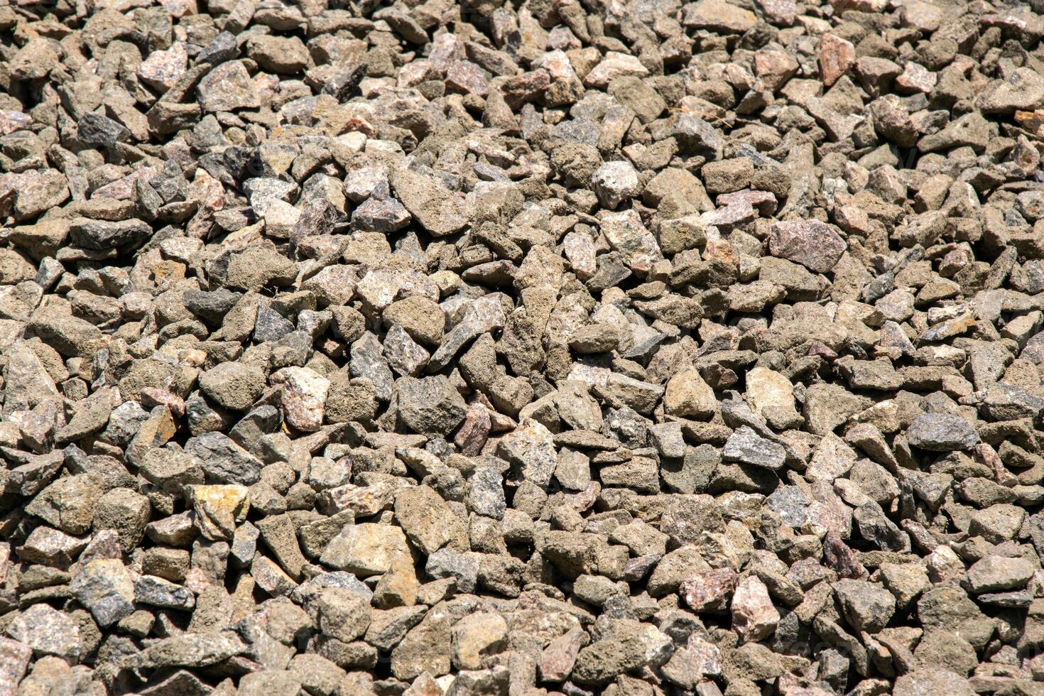 A close-up image of a pile of small, tan and gray gravel stones, illuminated by the sun photo