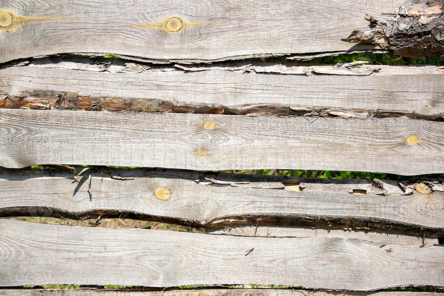 Close-up of a rustic wooden fence with weathered boards and visible knots photo