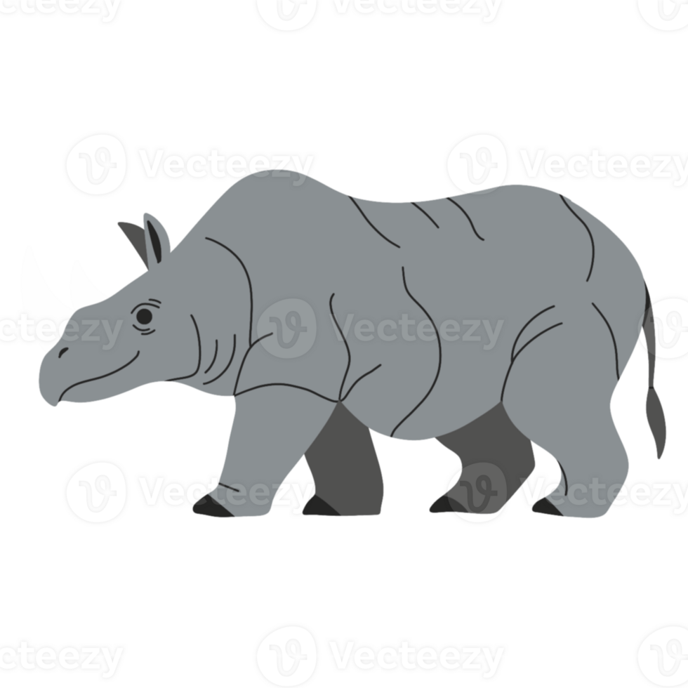 Cute Rhinoceros illustration png